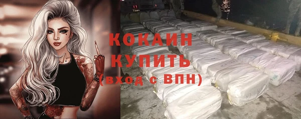 шишки Абинск