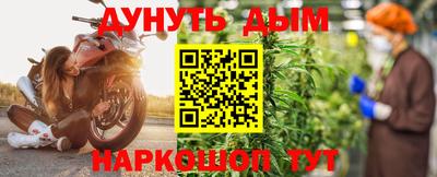 mdpv Краснознаменск