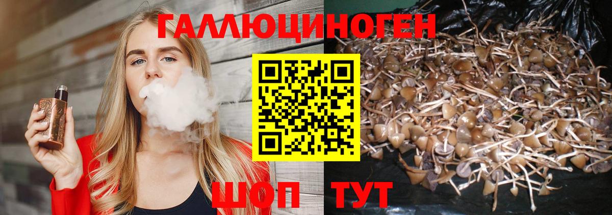 Галлюциногенные грибы мухоморы  Псилоцибиновые грибы ЛСД  Кингисепп  Вход с VPN 