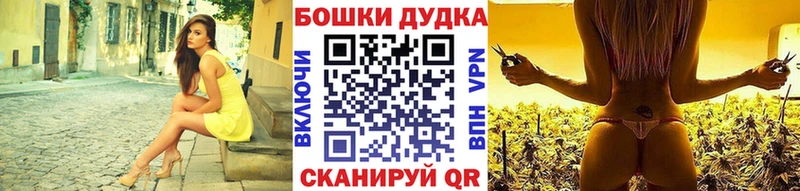 сайты даркнета клад  Кингисепп  Бошки марихуана план 